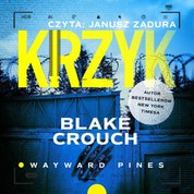 : Krzyk - audiobook