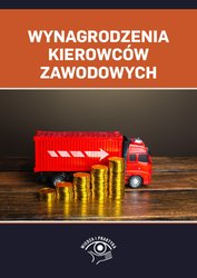 : Wynagrodzenia kierowców zawodowych - ebook