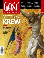 : Gość Niedzielny - Krakowski - e-wydanie – 14/2017