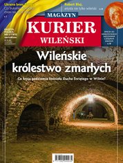 : Kurier Wileński (wydanie magazynowe) - e-wydanie – 28/2022