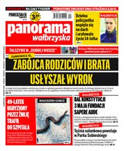 : Panorama Wałbrzyska  - e-wydanie – 20/2022