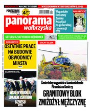 : Panorama Wałbrzyska  - e-wydanie – 41/2022