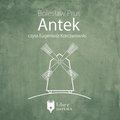 Dla dzieci i młodzieży: Antek - audiobook