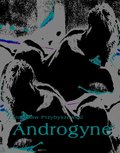 Literatura piękna, beletrystyka: Androgyne - ebook