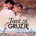 Toast za Gruzję - audiobook