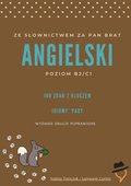 Języki i nauka języków: Ze słownictwem za pan brat: Idiomy - pary cz. 1 - ebook