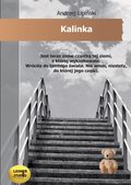 Obyczajowe: Kalinka - audiobook