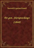 Do gen. Skrzyneckiego (1848) - ebook