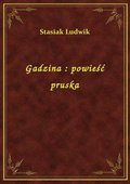 Gadzina : powieść pruska - ebook