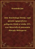 Jana Krasińskiego Polska, czyli opisanie typograficzno-polityczne Polski w wieku XVI, oraz Materiały do panowania Henryka Walezyusza - ebook