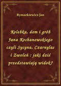 Kolebka, dom i grób Jana Kochanowskiego czyli Sycyna, Czarnylas i Zwoleń : jaki dziś przedstawiają widok? - ebook