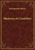 Madonna del Cardellino - ebook