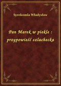 Pan Marek w piekle : przypowieść szlachecka - ebook