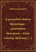 Z przeszłości Polesia Kijowskiego : opowiadania historyczne : dzieje szlachty okolicznej [...] - ebook