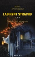 Kryminał, sensacja, thriller: Labirynt strachu. Tom I. - ebook