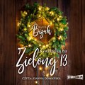 audiobooki: Gwiazdka na Zielonej 13 - audiobook