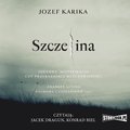 audiobooki: Szczelina - audiobook