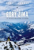 Polskie góry zimą - ebook