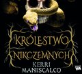 Królestwo Nikczemnych - audiobook