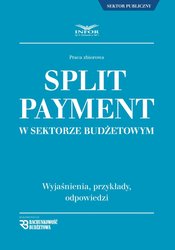 : Split payment w sektorze budżetowym - ebook