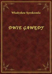 : Dwie Gawędy - ebook