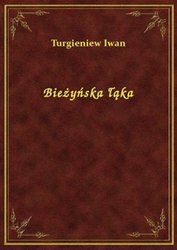 : Bieżyńska łąka - ebook