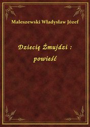 : Dziecię Żmujdzi : powieść - ebook