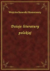 : Dzieje literatury polskiej - ebook