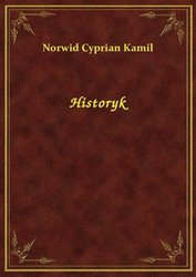 : Historyk - ebook