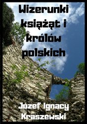 : Wizerunki książąt i królów polskich - ebook
