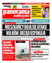 : Panorama Wałbrzyska  - e-wydanie – 7/2022